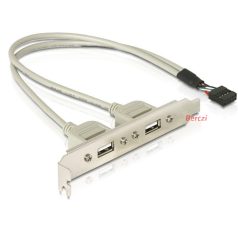DELOCK Hátlapi kivezetés > 2x USB 2.0 Type-A