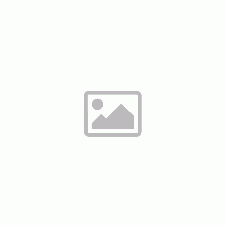 RASPBERRY 5,1V 3A adapter