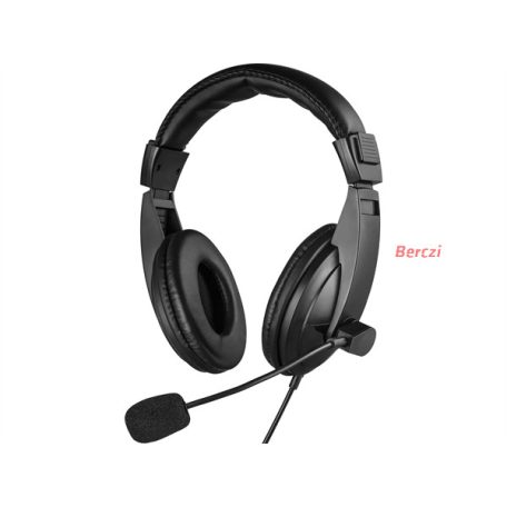 SANDBERG Headset, Saver MiniJack Headset Large