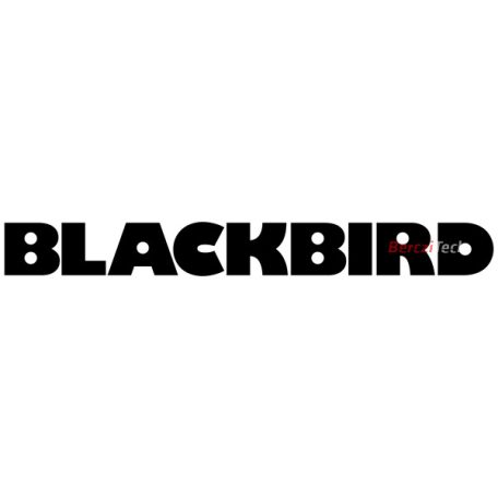 BLACKBIRD Átalakító Adapter HDMI male to DVI female, fekete